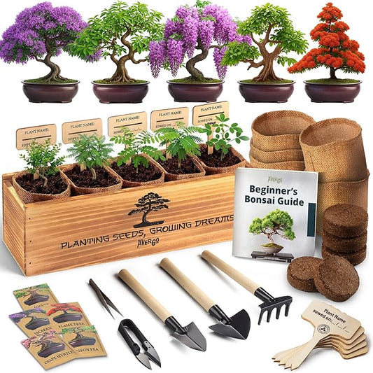 DIY Bonsai Tree Kit for Beginners – 5X Unique Japanese Bonzai Trees, Complete Indoor Bonsai Starter Kit for Growing Bonsai Plants w/Tools & Planters – DIY Christmas Gardening Gifts for Mom
